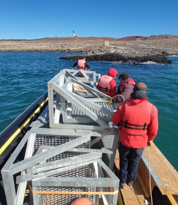 Avanza la obra de pasarelas para la Isla Pingüino