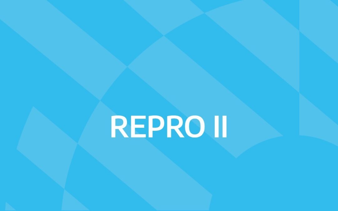 Todo lo que tenés que saber para acceder al REPRO II para la actividad turística