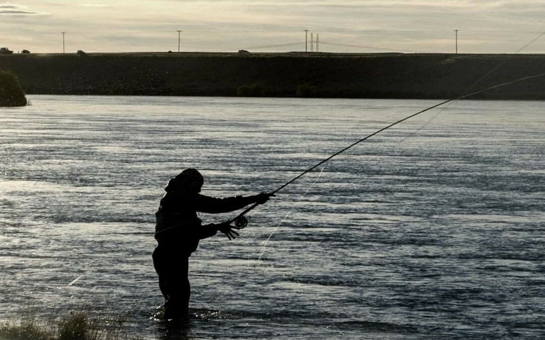 El Gobierno lanzó una nueva web para tramitar el permiso de pesca deportiva