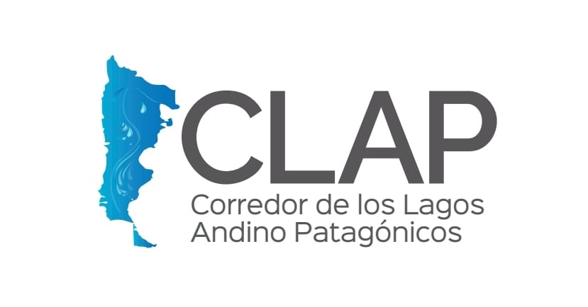 Se habilitó nuevamente el Corredor de los Lagos Andino Patagónicos para traslados internacionales