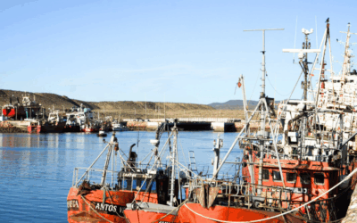 Producción impulsa el fortalecimiento del sector pesquero y portuario en Santa Cruz