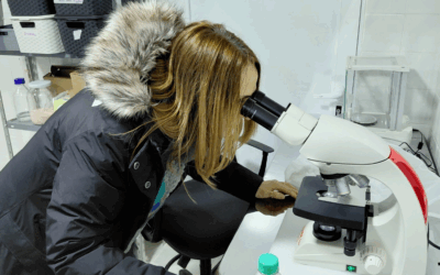 La ministra Nadia Ricci visitó el piloto científico de cultivo de algas en Puerto San Julián