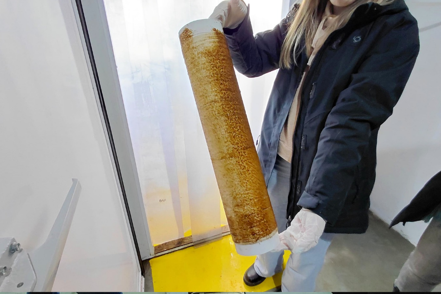 cultivo de algas en Puerto San Julián