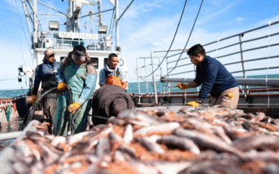 El Gobierno de Santa Cruz suma medidas para fortalecer la actividad pesquera en Puerto Deseado