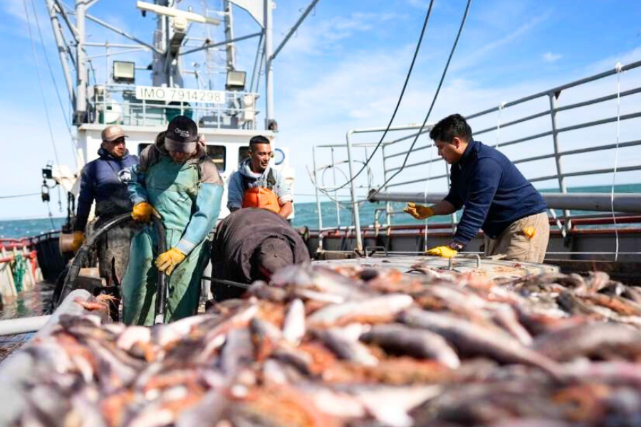 El Gobierno de Santa Cruz suma medidas para fortalecer la actividad pesquera en Puerto Deseado