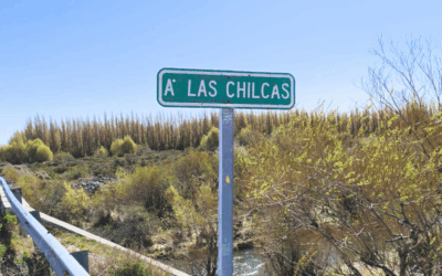 Pesca Continental intensificó los controles en Los Antiguos: 60 truchas decomisadas 