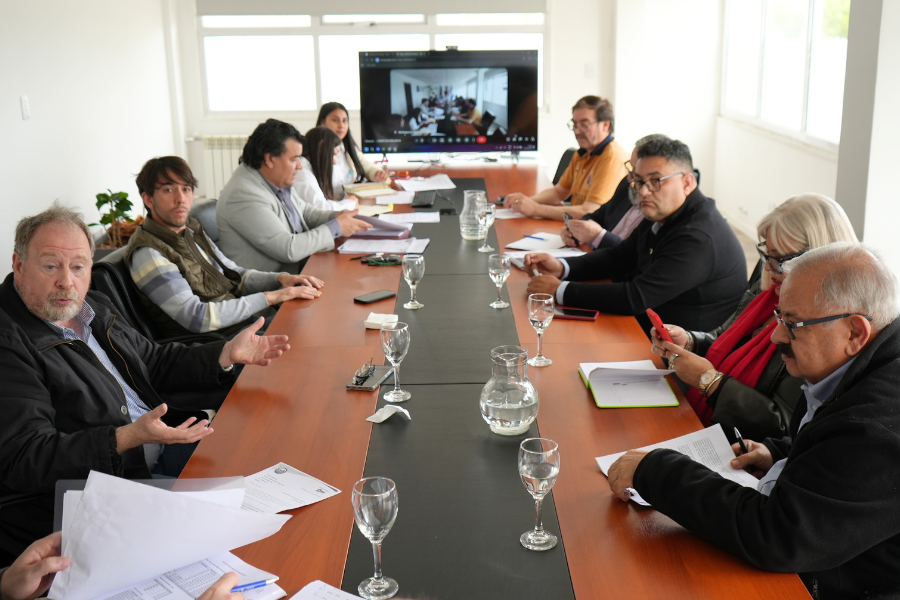 Se realizó la segunda reunión del Comité de Vigilancia de Zonas Francas