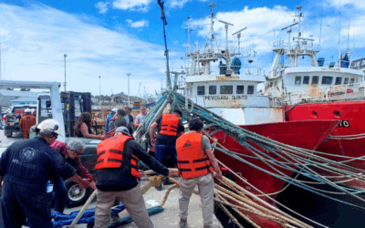 Avanzan las tareas de limpieza y puesta en valor de bitas de amarre en Puerto Deseado