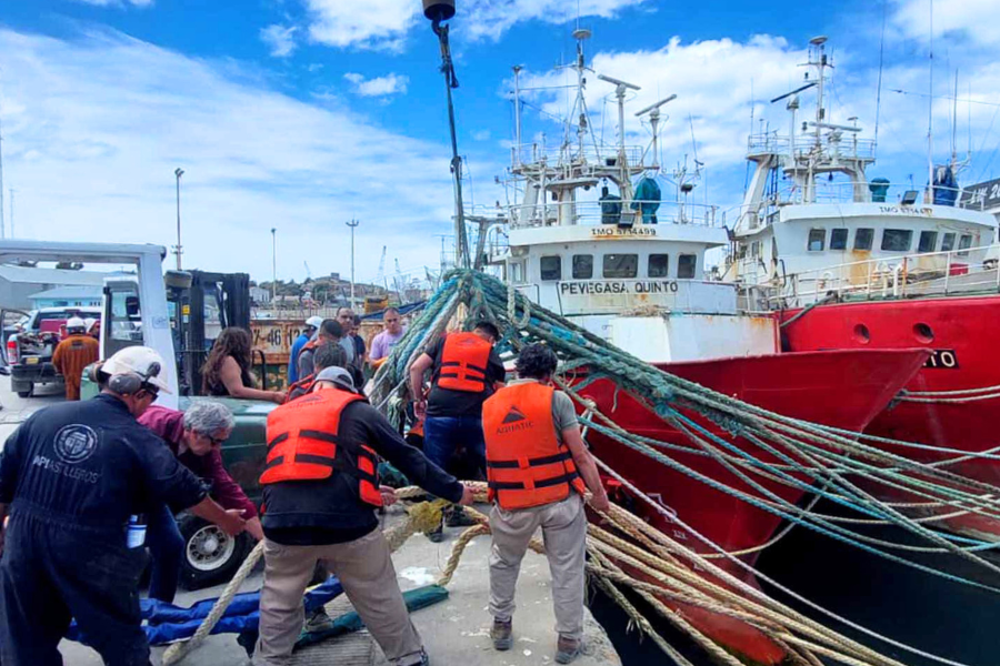 Avanzan las tareas de limpieza y puesta en valor de bitas de amarre en Puerto Deseado