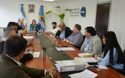 El Comité de Vigilancia de Zonas Francas cerró el año con una nueva reunión en Río Gallegos