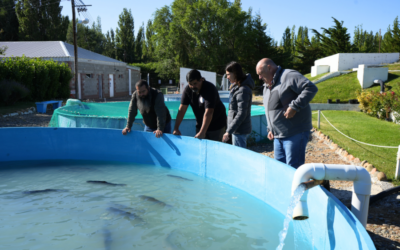 La Secretaría de Pesca recorrió la Estación Municipal de Piscicultura “Isla Pavón”