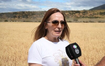 Ricci: “Cuando hay decisión política y trabajo, los resultados llegan”