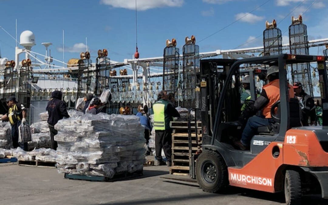 Comienza una nueva temporada de calamar en Puerto Deseado