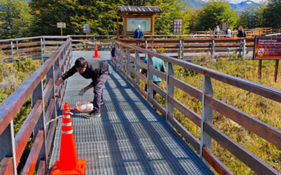 Turismo articula tareas de mantenimiento en el circuito de pasarelas del Glaciar Perito Moreno