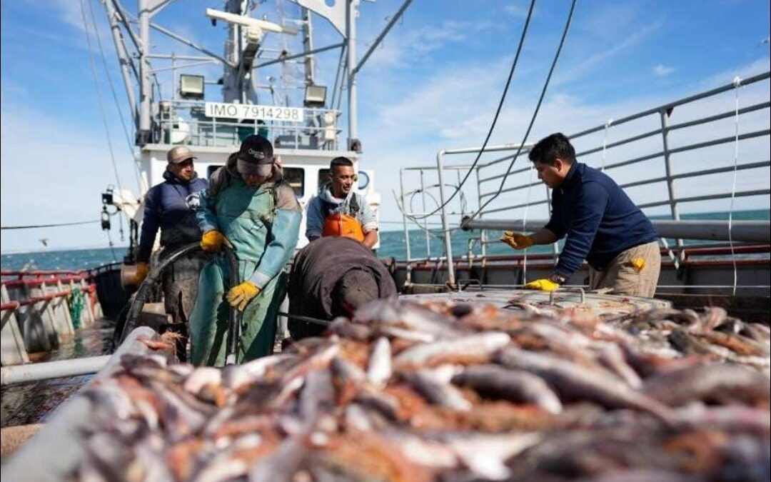 Santa Cruz solicitó ante el Consejo Federal Pesquero la apertura prioritaria de las Subáreas 15 y 16 para la pesca de langostino