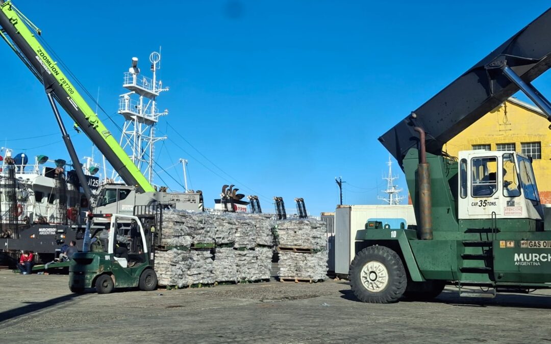 Puerto Deseado registra una de las mejores temporada de calamar desde 2014