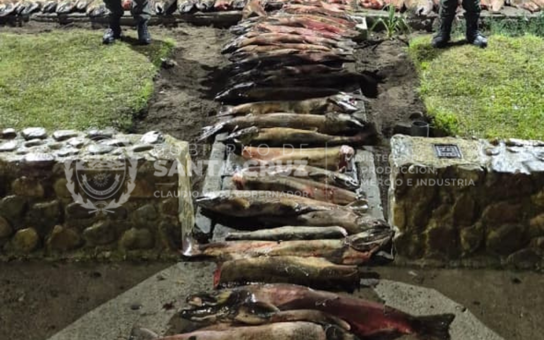 Operativo conjunto contra la pesca ilegal en Santa Cruz