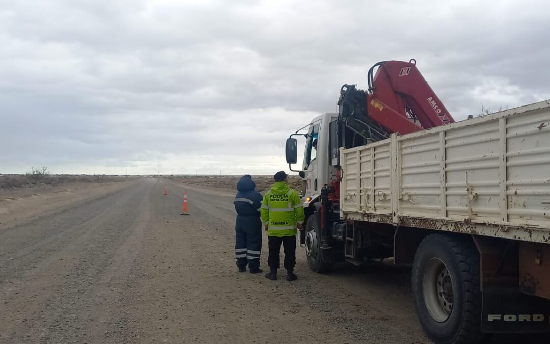 Despliegue territorial: Transporte refuerza controles en rutas con Policía Caminera