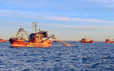 Pesca: Quedó oficialmente habilitada la apertura de la temporada de langostino 2026