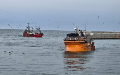Santa Cruz se prepara para una nueva zafra: el 26 inicia la prospección de langostino