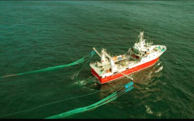 Pesca: Santa Cruz suma observadores provinciales a la prospección de langostino