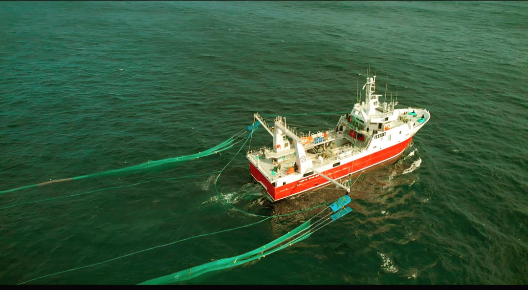 Pesca: Santa Cruz suma observadores provinciales a la prospección de langostino