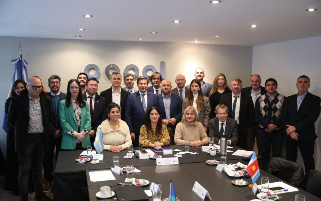 Santa Cruz participó de la VIII Reunión del Consejo Federal de Comercio Interior