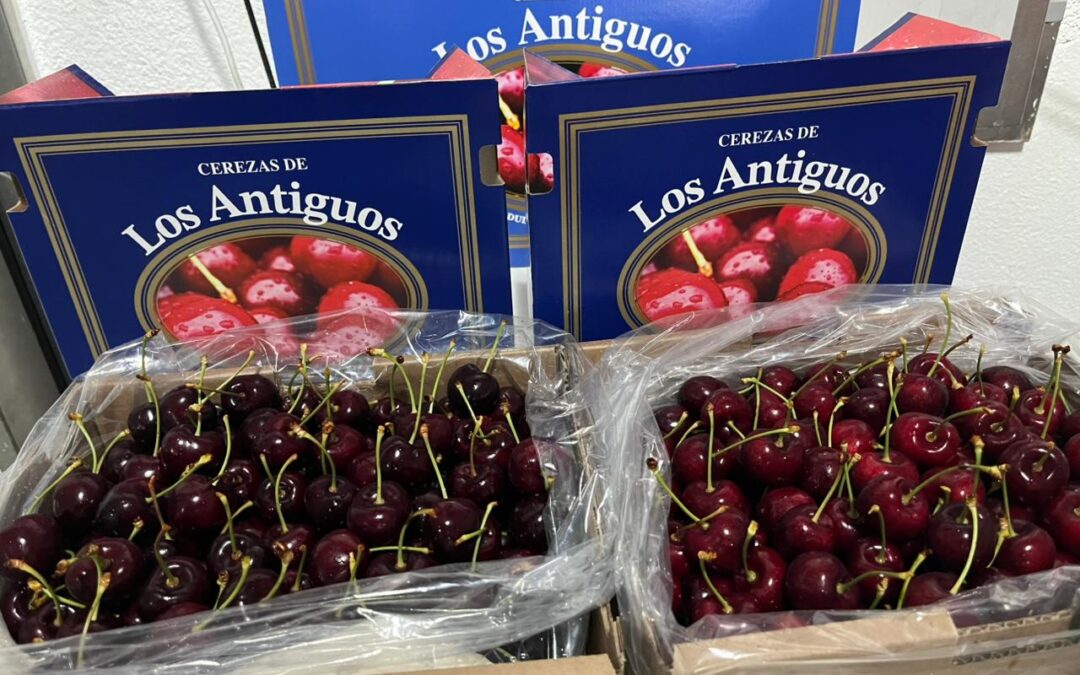 La cereza de Los Antiguos se prepara para su primera exportación con sello propio