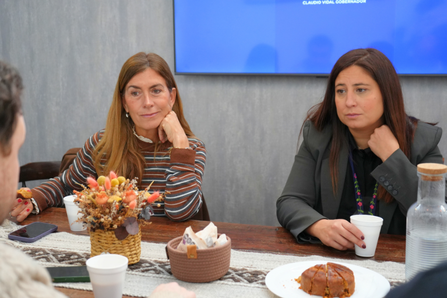 Autoridades provinciales se reunieron con LATAM para evaluar la conectividad aérea de Santa Cruz