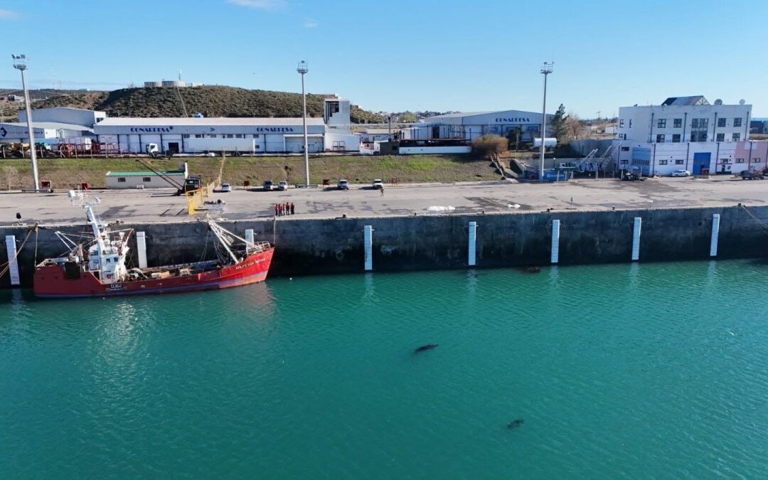 El Gobierno de Claudio Vidal finalizó la obra de defensas del Sitio 3 de Caleta Paula